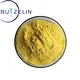 Amphotericin B